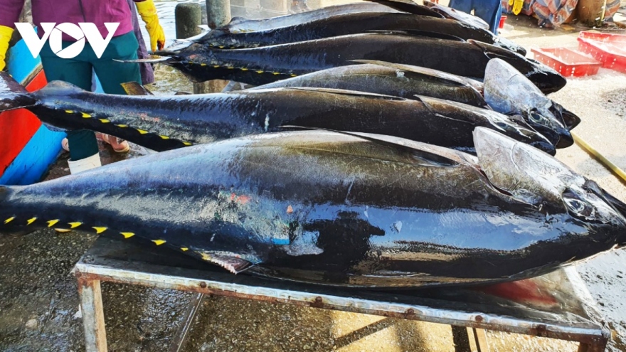Vietnam boosts tuna exports to UK
